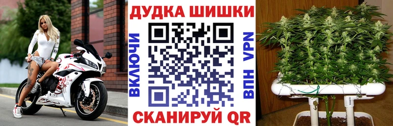 Купить где  Симферополь  Конопля семена 